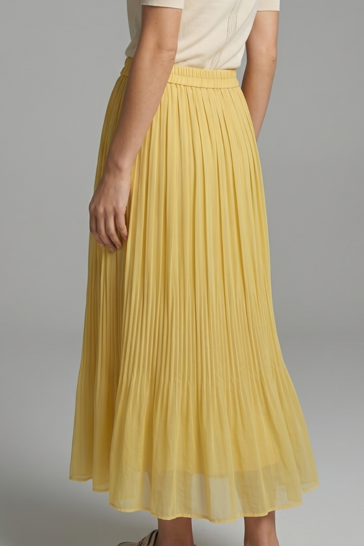 Brexley | Women Pleated Skirt with Elastic Waistband